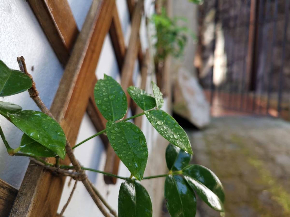 O Refugio - Espaco Natural, Amplo E Privado アングラ・ド・エロイーズモ エクステリア 写真