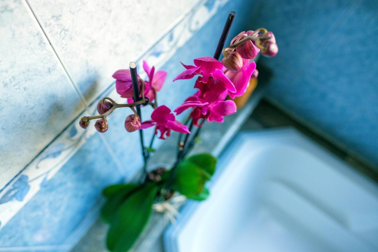 O Refugio - Espaco Natural, Amplo E Privado アングラ・ド・エロイーズモ エクステリア 写真